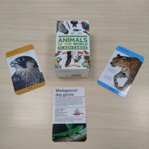 Animals of the world, flash cards (Maailma loomad, mälukaardid)