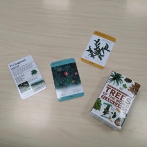 Trees of the world, flash cards (Maailma puud, mälukaardid)