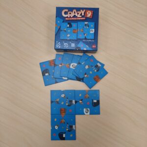 Crazy9