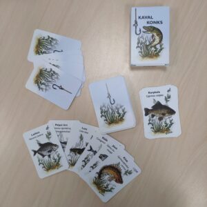 Kaval konks